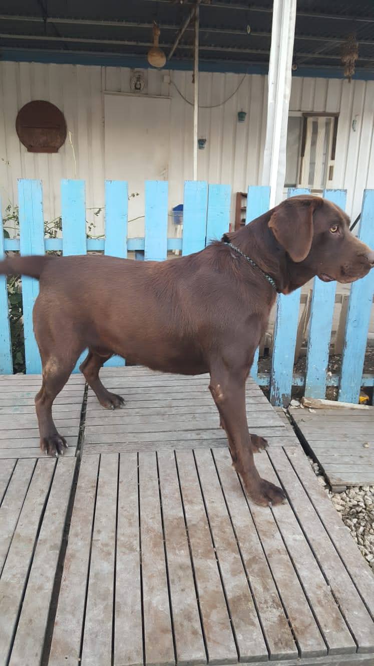 Monty (fka Mocha)